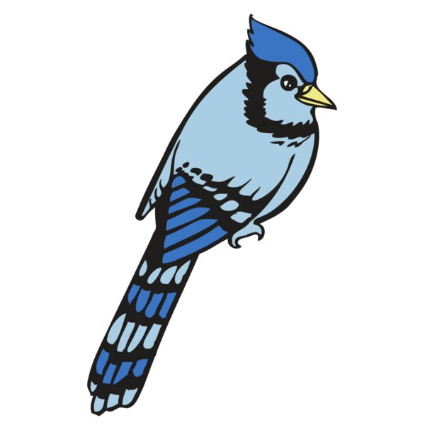 BAW BLUEJAY 08 RC Thumbnail